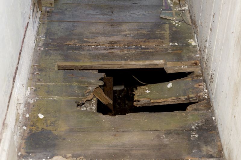 Damaged Floor Joist